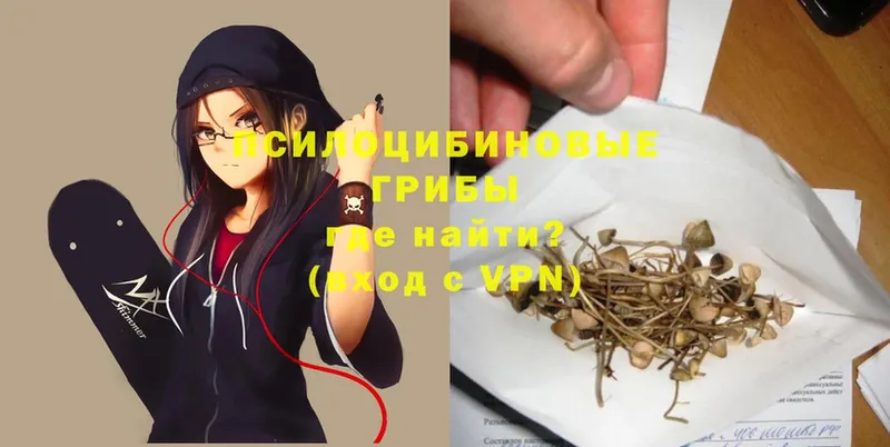 Псилоцибиновые грибы MAGIC MUSHROOMS  Заводоуковск 